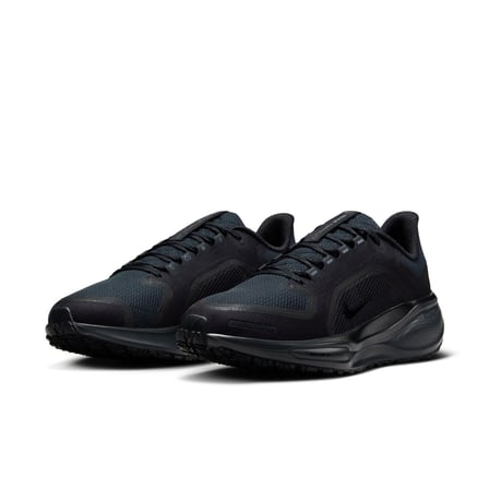 Nike Air Zoom Pegasus 41 Gore-Tex Waterproof Road Running Spor Ayakkabı - FQ1357