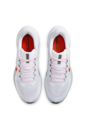 Nike Air Zoom Pegasus 41 Erkek Koşu Ayakkabı Fd2722-108