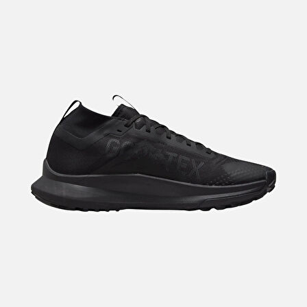 Nike Pegasus Trail 4 GTX V2 ERKEK ARAZİ TİPİ SPOR AYAKKABISI-HM9728-002