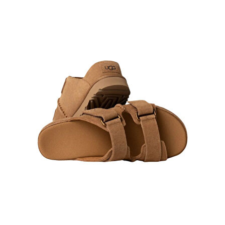 W Goldenstar Hi Slide Ugg Kadın Terlik