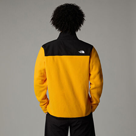 The North Face M Alpine Polartec 200 Fz Jacket Erkek Polar Ceket