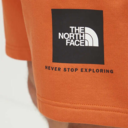 The North Face Erkek Şort Box Never Stop Exploring Regular
