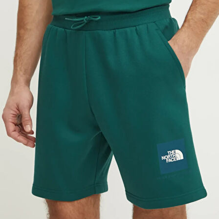 The North Face Erkek Şort Box Never Stop Exploring Regular