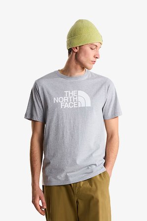 The North Face M Evolutıon Half Dome Regular Erkek Gri T-Shirt NF0A8B6JCU71