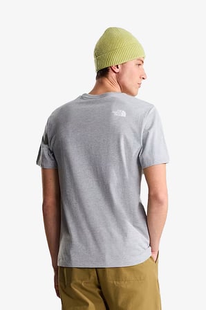 The North Face M Evolutıon Half Dome Regular Erkek Gri T-Shirt NF0A8B6JCU71