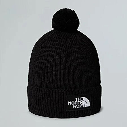 The North Face TNF LOGO BOX POM BEANIE NF0A8CHFJK31