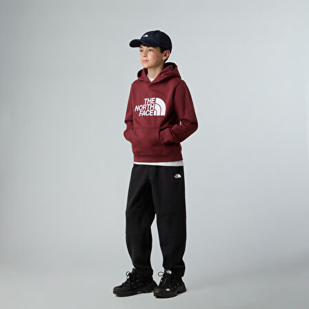 The North Face TEEN DREW PEAK PULLOVER HOODIE Genç Çocuk Sweatshirt NF0A8EHH0VO1