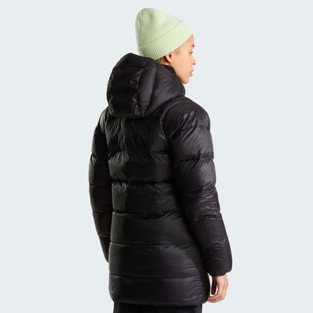 The North Face W Hydrenalite City Down Hooded Parka Kadın Ceket Nf0A8D3Kjk31