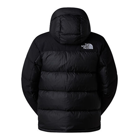 The North Face  Erkek Hmlyn Kaztüyü Parka Nf0A4Qyxgof1