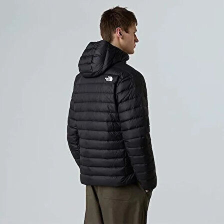 The North Face M CLASSIC DOWN HOODED JACKET NF0A8D1TJK31