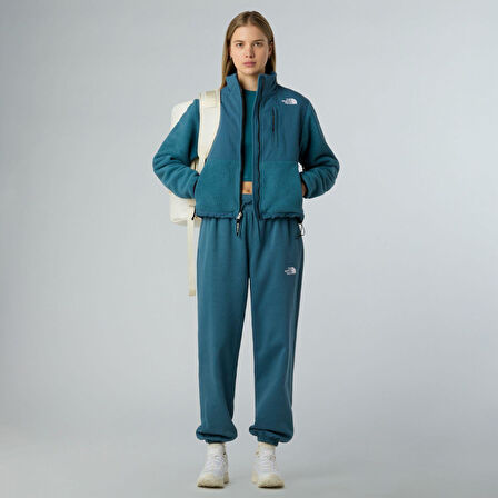 The North Face W RETRO DENALI JACKET Kadın Ceket NF0A88YRBQ51