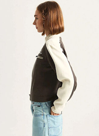 Vans VN000R3HEMV1-Ryden Biker Jacket Siyah Normal Düz Kadın Zip Ceket