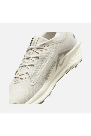 Nike-React Pegasus Trail 5 Gore-Tex 'Light Bone Light