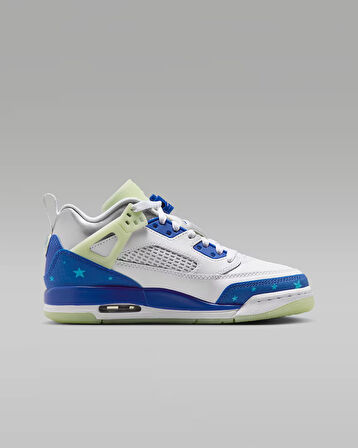 NİKE Jordan Spizike Low Sneaker hj5979-100