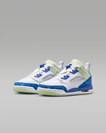 NİKE Jordan Spizike Low Sneaker hj5979-100