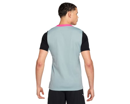 Nike M Nk Df Strk Top Ss Erkek Antrenman Tişörtü FN2399-395