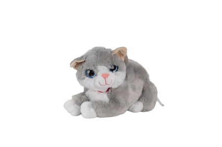 KZL-2309035 PELUŞ 30 CM JUMBO KEDİ MİYLAYAN 48