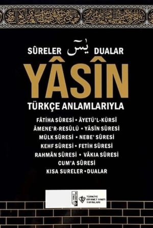 Kapsulavm Yasin ve Kısa Sureler Din Kitabı Kabe Desenli Orta Boy