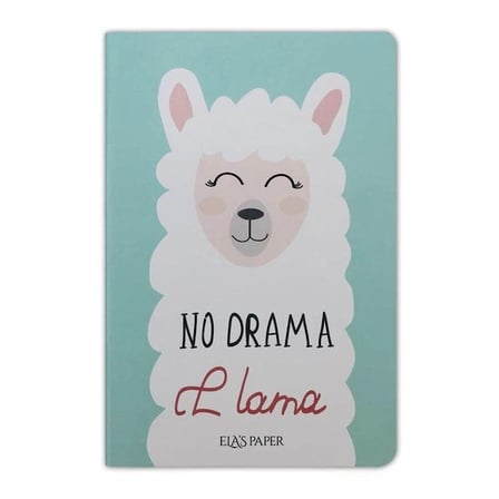 Lama Notebook Su Yeşili - Defter