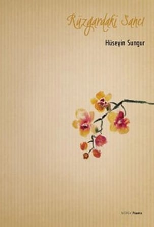 Rüzgardaki Sancı