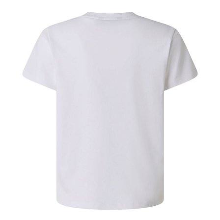 The North Face B LIQUID LOGO REG SS TEE Genç Tişört NF0A8G1WFN41