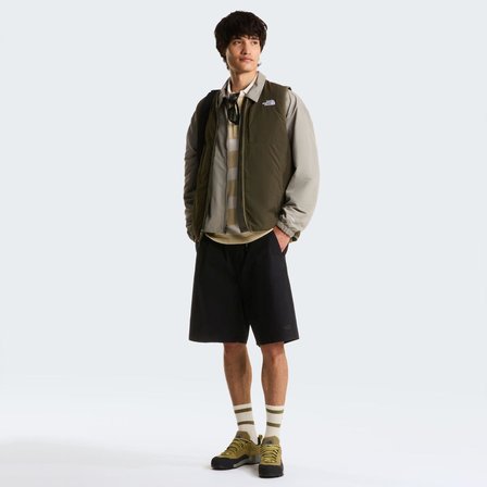 The North Face M BAGGY BETA SHORTS Erkek Sportif Şort NF0A8G0AJK31