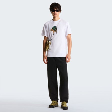 The North Face M DONKEY TAXI RELAXED SHORT SLEEVE TEE-G Erkek Tişört NF0A8G9FFN41