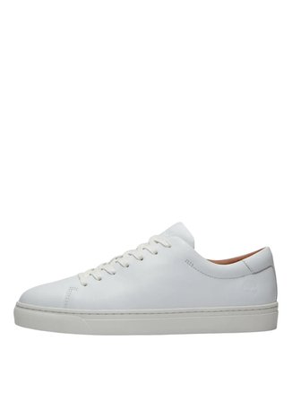 Timberland Beyaz Erkek Sneaker Dover Essential LOW LACE UP SNEAKER