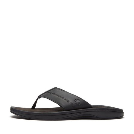 Timberland Timberland Originals SLIDE SANDAL Erkek Ayakkabısı TB0A2R4EENR1