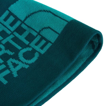 The North Face REVERSIBLE HIGHLINE BEANIE Unisex Bere NF0A7WLAVU11