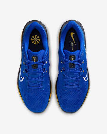 Nike Quest 6 Erkek Yol Koşu Ayakkabısı