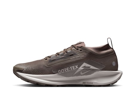 Nike Pegasus Trail 5 Gtx Erkek Koşu Ayakkabısı FQ0908-012