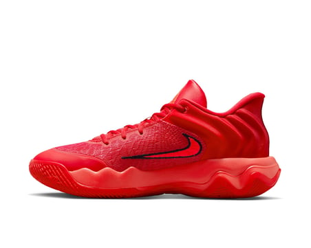 Nike Giannis Immortality 4 Erkek Basketbol Ayakkabısı FQ3680-600