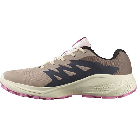 Salomon Alpha Glide Gtx W Gore-Tex® L47857900 Erkek Spor Ayakkabı