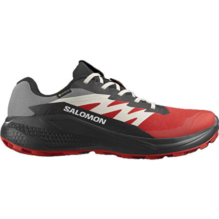Salomon ALPHAGLIDE GORE-TEX Erkek Ayakkabısı L47975200