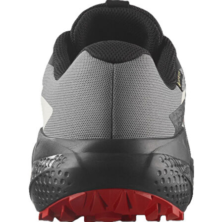 Salomon ALPHAGLIDE GORE-TEX Erkek Ayakkabısı L47975200