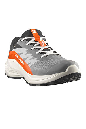 Salomon Alphaglıde Gore-Tex Erkek Patika Koşusu Ayakkabısı