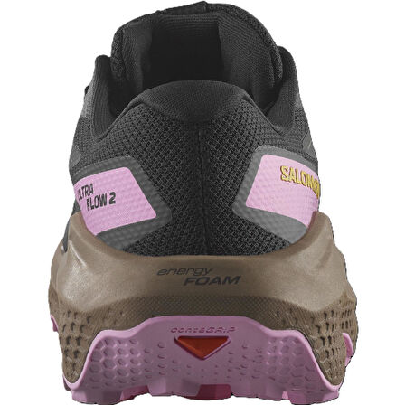Salomon ULTRA FLOW 2 GTX Kadın Ayakkabısı L47884400