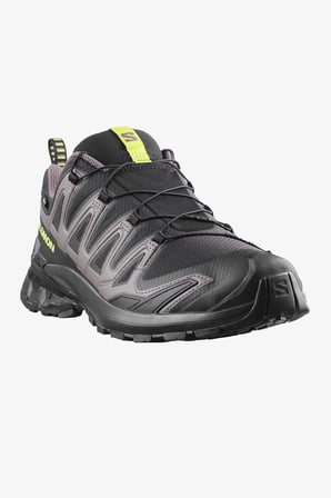 Salomon Xa Pro 3D V9 GTX Erkek Siyah Outdoor Ayakkabı L47987300