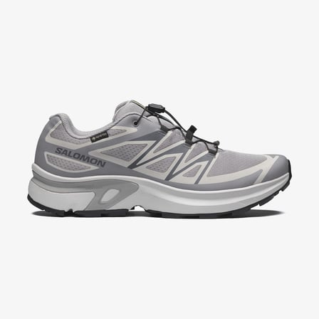 Salomon Xt-evr Gtx M Erk Sneaker Ayakkabı Alloy/lunar Rock/black L49143800