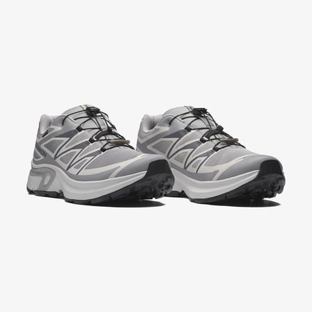 Salomon Xt-evr Gtx M Erk Sneaker Ayakkabı Alloy/lunar Rock/black L49143800