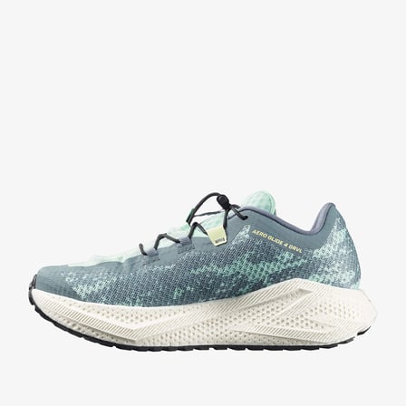 Salomon Erkek Gravel Koşu Ayakkabısı Aero Glide 4