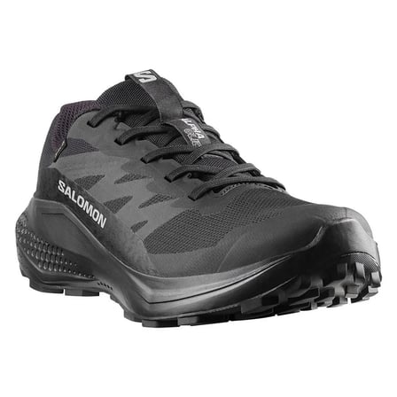 Salomon L49214400 Alphaglide Gtx W Kadın Koşu Ayakkabısı