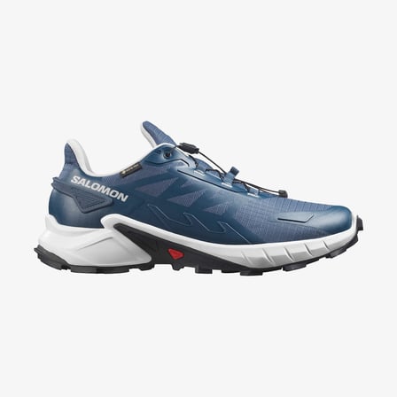 Salomon Supercross 4 Gtx Spellbound/lunar Rock/black Erkek Ayakkabı L45447400