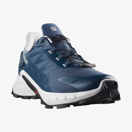 Salomon Supercross 4 Gtx Spellbound/lunar Rock/black Erkek Ayakkabı L45447400