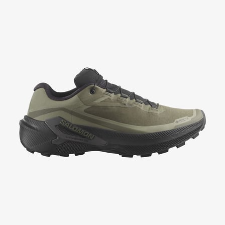Salomon Genesıs 2 Gtx Grape Leaf/black/deep Lichen Green Erk Koşu/fıtness Ayakkabı L49301900