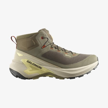 Salomon Genesis Mid Gtx Erkek Bot