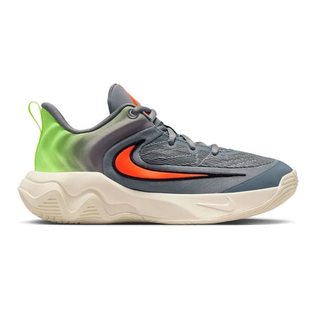 Nike Giannis Immortality 4 Gs Çocuk Basketbol Ayakkabısı IH7664-500