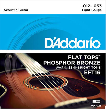D'Addario EFT16 Flat Tops, Light, 12-53 Takım Tel Akustik Gitar Teli 012-053
