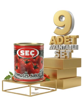 Seç Domates Salçası 9x830 Gr